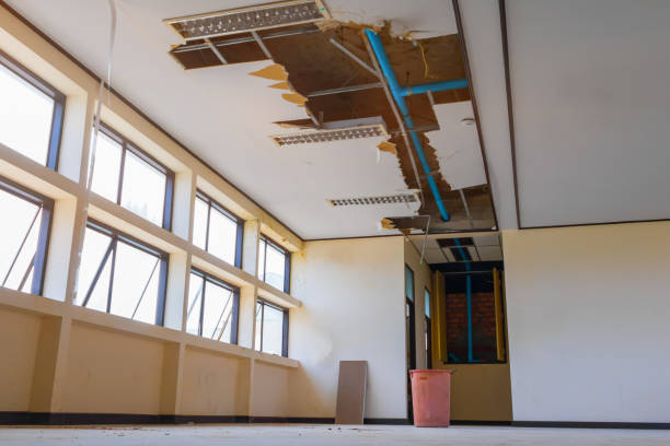 Best Sewage cleanup and water damage restoration  in Lynchburg, MS