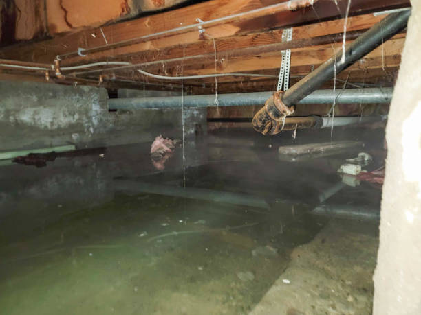 Best 24-hour water damage restoration  in Lynchburg, MS