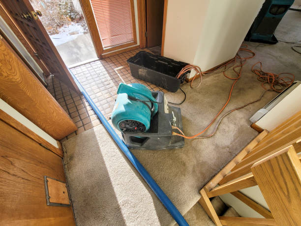 Best Carpet water damage restoration  in Lynchburg, MS
