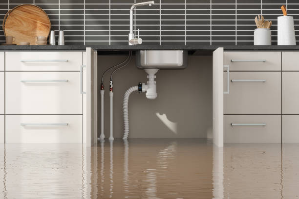 Best Emergency water damage restoration  in Lynchburg, MS