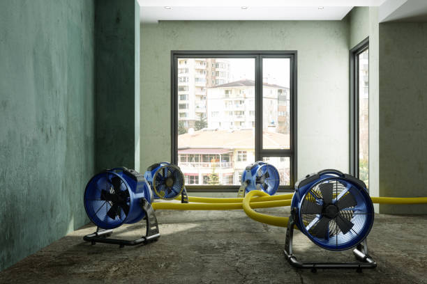 Best Basement water damage restoration  in Lynchburg, MS